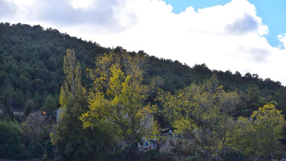 6.11.2016 paisatge de tardor  Rocamora -  Ramon Sunyer