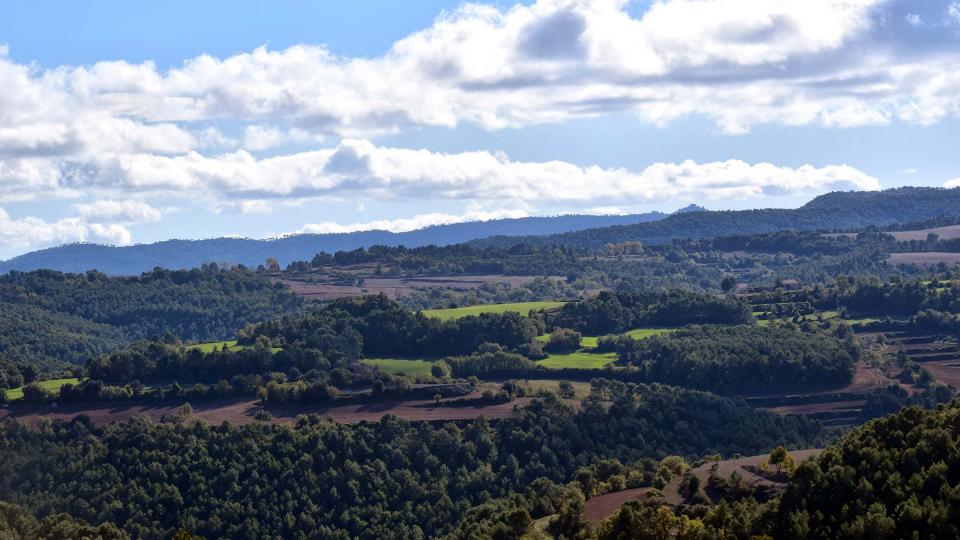 6.11.2016 paisatge de tardor  Argençola -  Ramon Sunyer