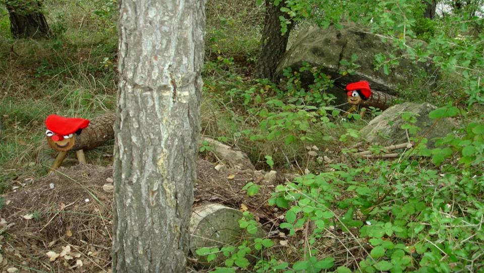 El vídeo del Tió d’Argençola acumula més de 30.000 visualitzacions - Argençola