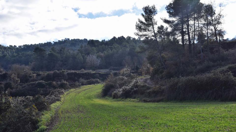 18.12.2016   Porquerisses -  Ramon Sunyer