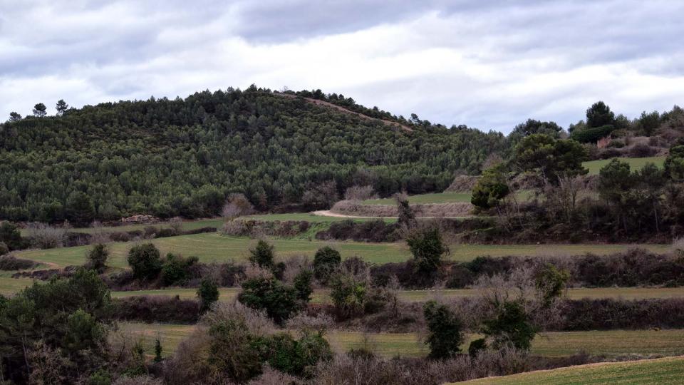 Sentier de randonnée pédestre Clariana-Albarells-Clariana - Auteur Ramon  Sunyer (2017)