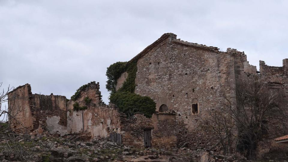 22.1.2017 castell  Albarells -  Ramon Sunyer