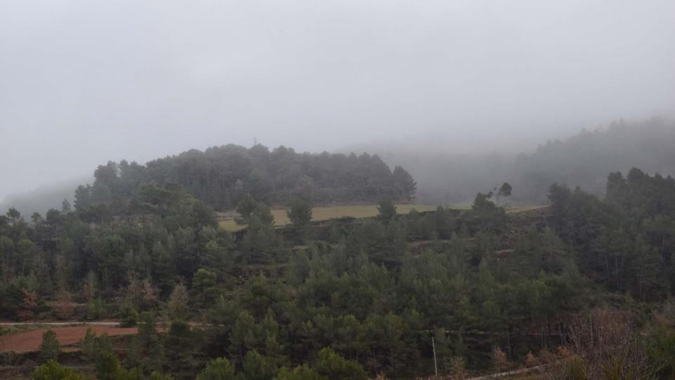 25.12.2016   Santa Maria del Camí -  Ramon Sunyer