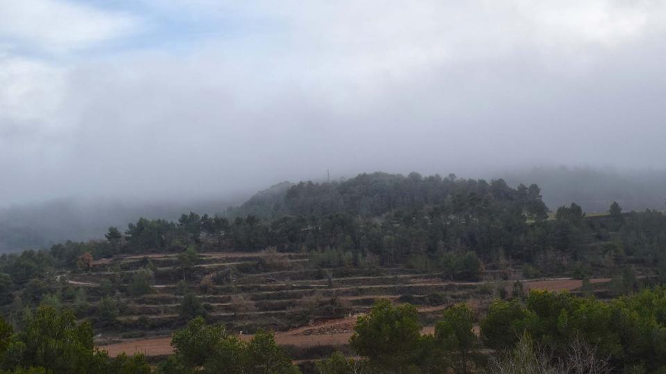 25.12.2016   Santa Maria del Camí -  Ramon Sunyer