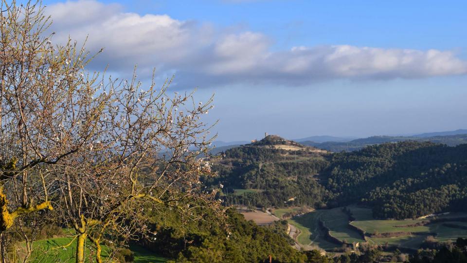 25.2.2017 Vista des de Carbasí  Argençola -  Ramon  Sunyer