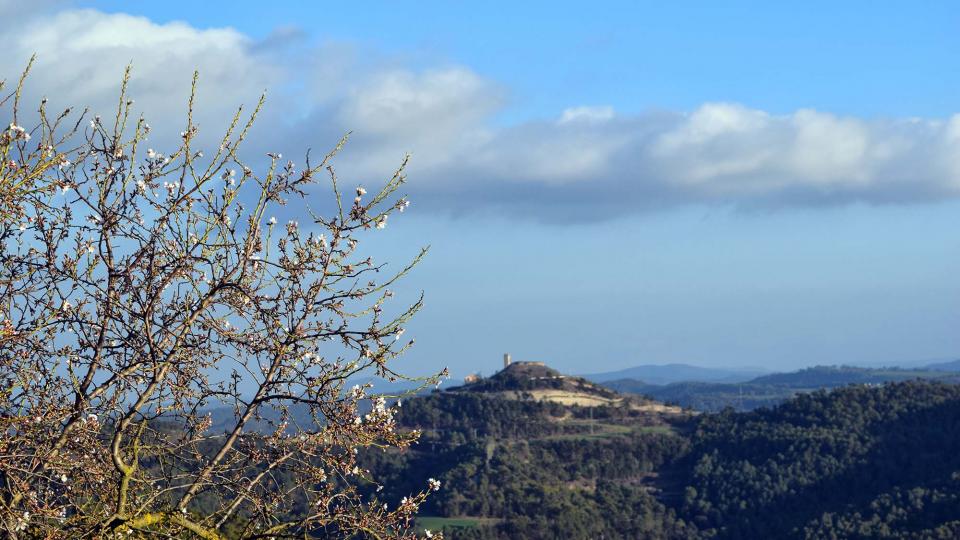 25.2.2017 Vista des de Carbasí  Argençola -  Ramon  Sunyer