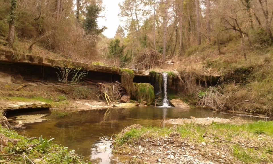 Espace fluvial Toll del Molí Nou - Auteur Francesc Fontanet (2017)