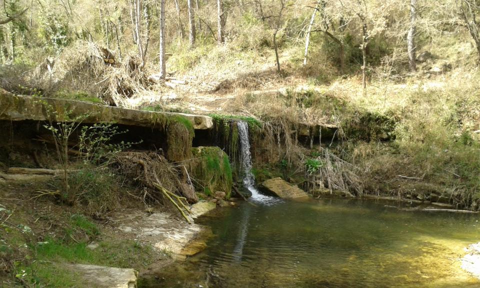 Espacio fluvial Toll del Molí Nou - Autor Francesc Fontanet (2017)