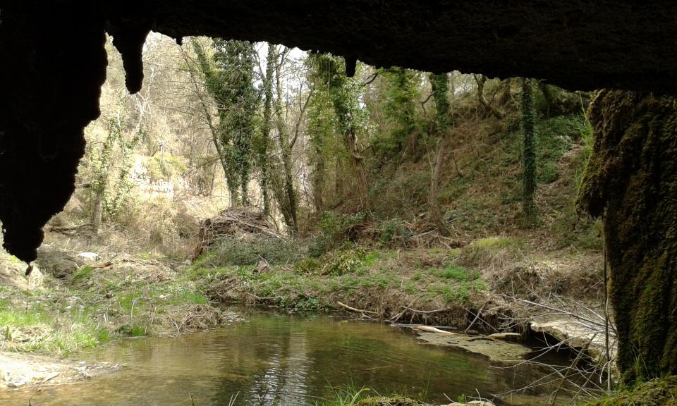 Fluvial space Toll del Molí Nou - Author Francesc Fontanet (2017)