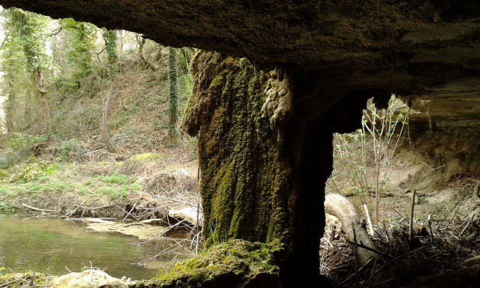 Espacio fluvial Toll del Molí Nou - Autor Francesc Fontanet (2017)