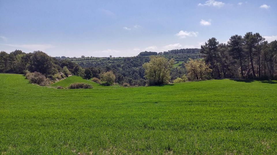 17.4.2017 paisatge  Argençola -  Marina Berenguer