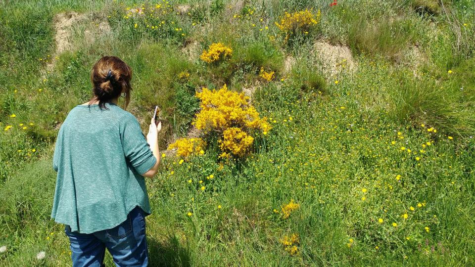 17.4.2017 passejant a la primavera  Argençola -  Marina Berenguer