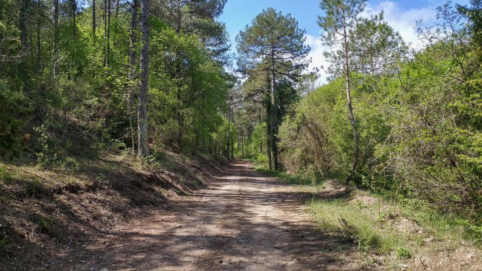 Aprovació inicial del Catàleg de camins municipals d’Argençola