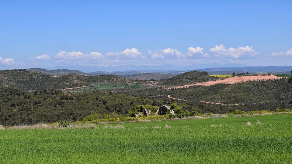 10.4.2017 paisatge  Argençola -  Ramon Sunyer