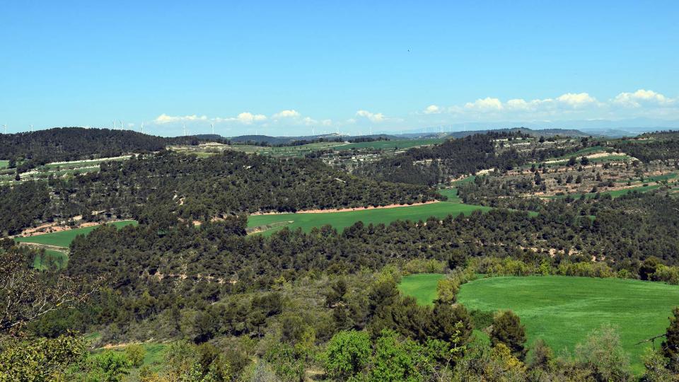 boscos - Argençola