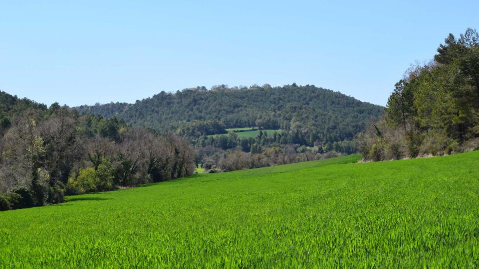 10.4.2017 Paisatge  Rocamora -  Ramon Sunyer