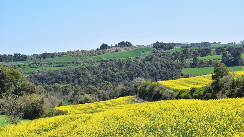 10.4.2017 Paisatge  Argençola -  Ramon Sunyer