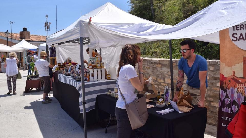 10.6.2017 Terra de Safrà  Argençola -  Ajuntament Argençola