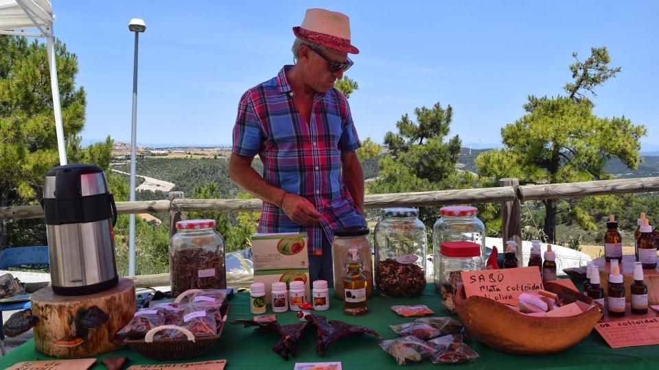 10.6.2017 7è mercat de les espècies  Argençola -  Ramon Sunyer