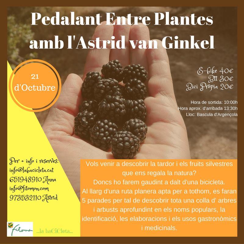 cartell Pedalant entre Plantes amb l’Astrid van Ginkel