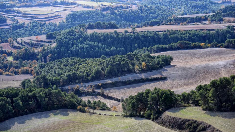 27.11.2017 paisatge de tardor  Argençola -  Ramon  Sunyer