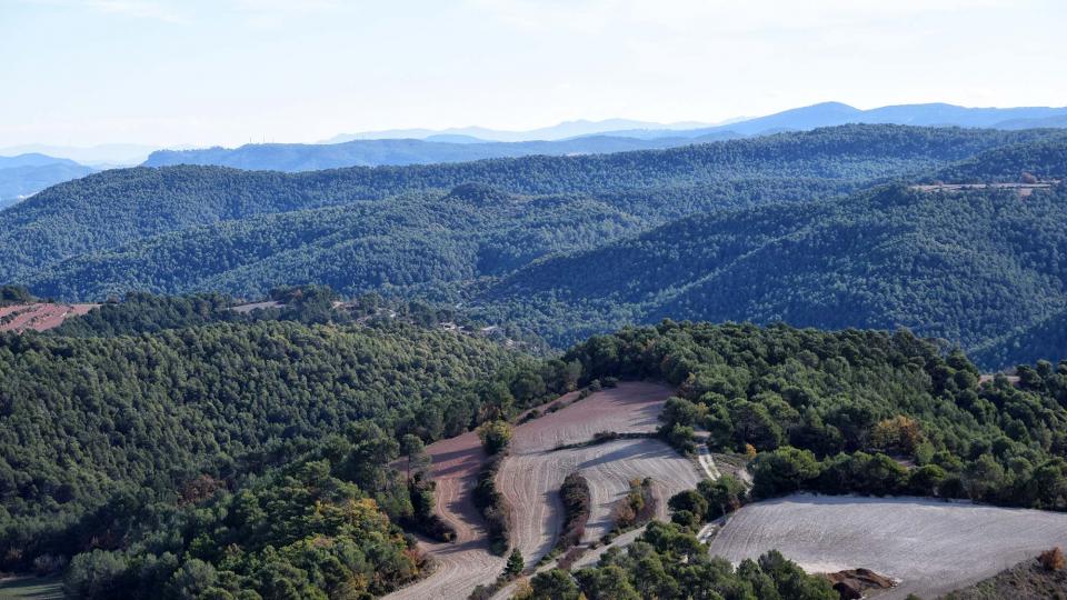 27.11.2017 paisatge de tardor  Argençola -  Ramon  Sunyer