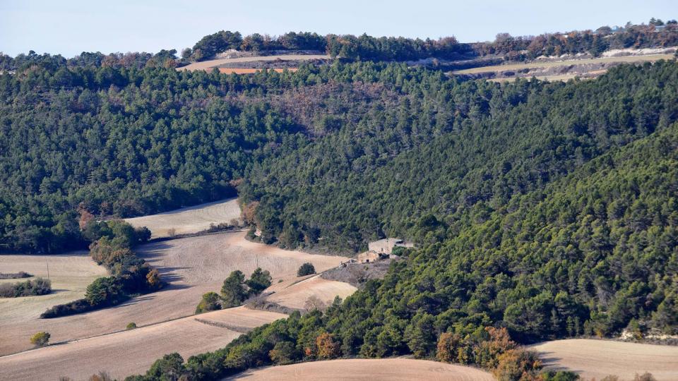 27.11.2017 paisatge de tardor  Rocamora -  Ramon  Sunyer