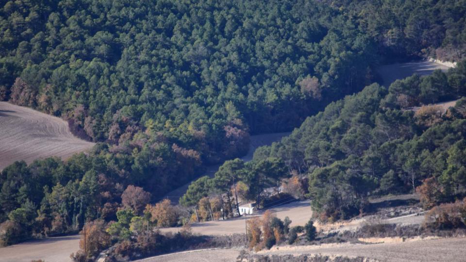 27.11.2017 paisatge de tardor  Rocamora -  Ramon  Sunyer