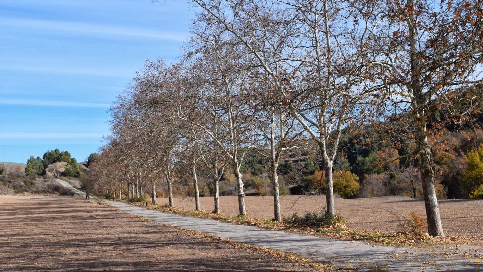 27.11.2017 plataners del camí ignasià  Porquerisses -  Ramon  Sunyer