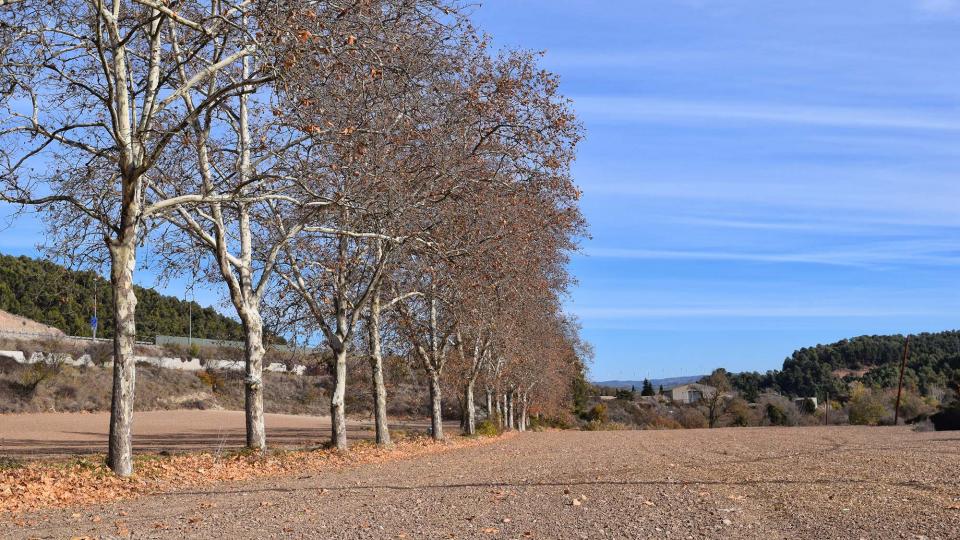 27.11.2017 plataners del camí ignasià  Porquerisses -  Ramon  Sunyer