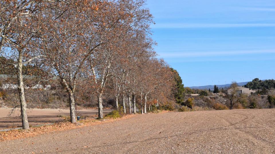 27.11.2017 plataners del camí ignasià  Porquerisses -  Ramon  Sunyer