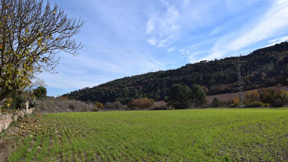 27.11.2017 paisatge  Santa Maria del Camí -  Ramon  Sunyer