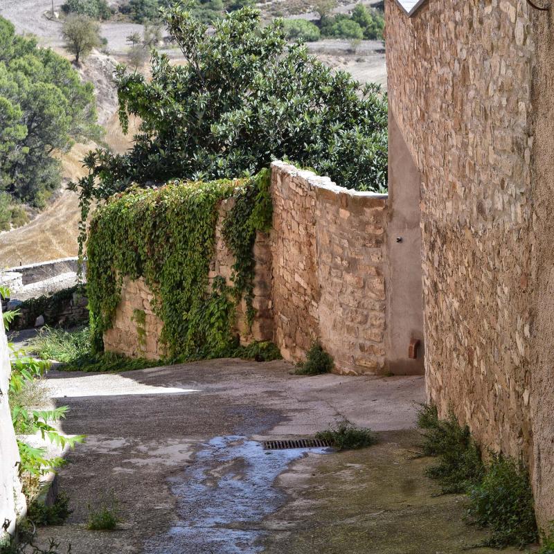 16.9.2017 carrer  Argençola -  Ramon Sunyer