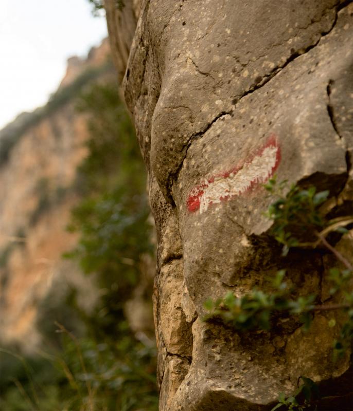 14.4.2018 Exposició Saurins: la percepció del subsòl  Argençola -  Ajuntament d'Argençola