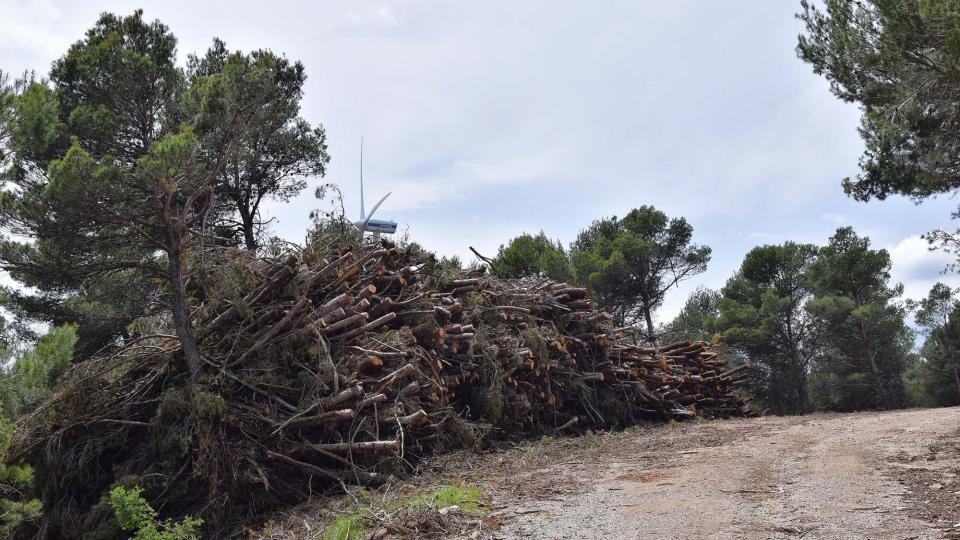 10.6.2018 aprofitament forestal  Porquerisses -  Ramon Sunyer