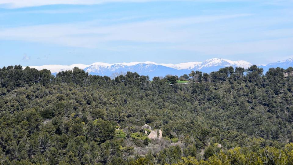 28.3.2018 vista a la primavera  La Goda -  Ramon  Sunyer