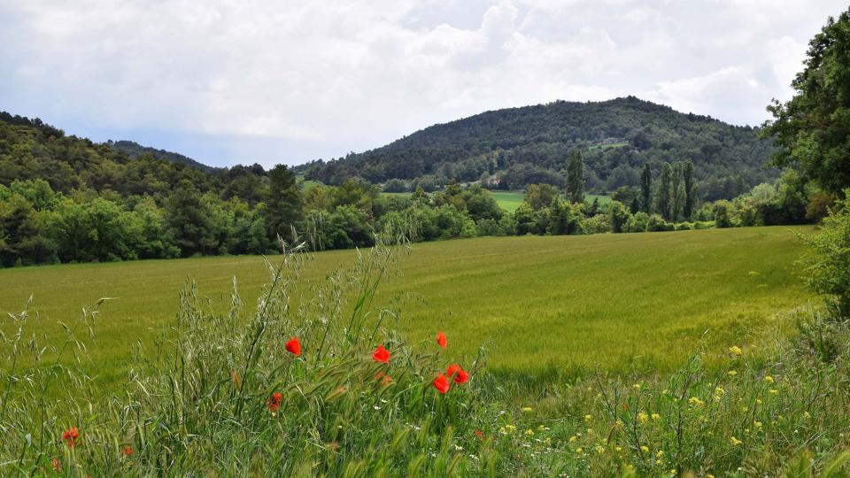 19.5.2018   Rocamora -  Ramon Sunyer