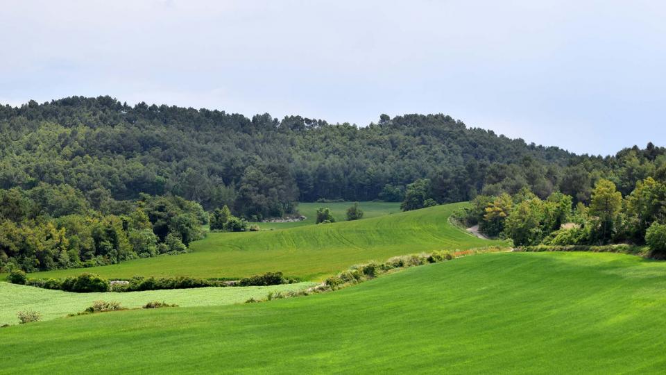 19.5.2018   Rocamora -  Ramon Sunyer