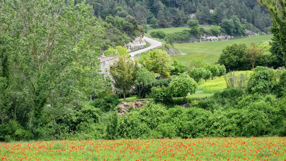 19.5.2018 Molí de les Vinyes  Argençola -  Ramon Sunyer