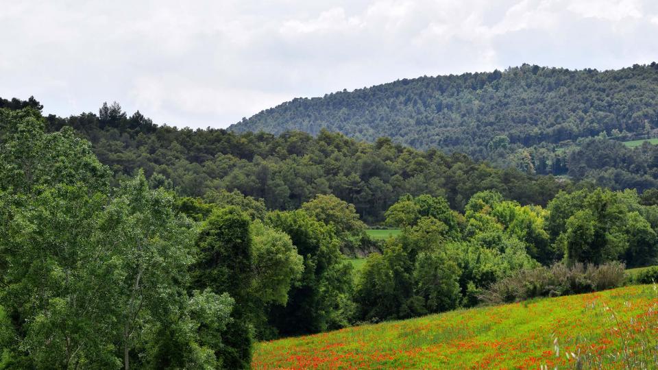 19.5.2018 Molí de les Vinyes  Argençola -  Ramon Sunyer