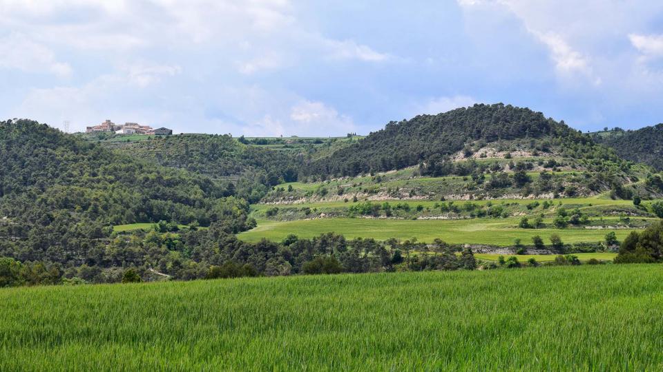 19.5.2018   Argençola -  Ramon Sunyer