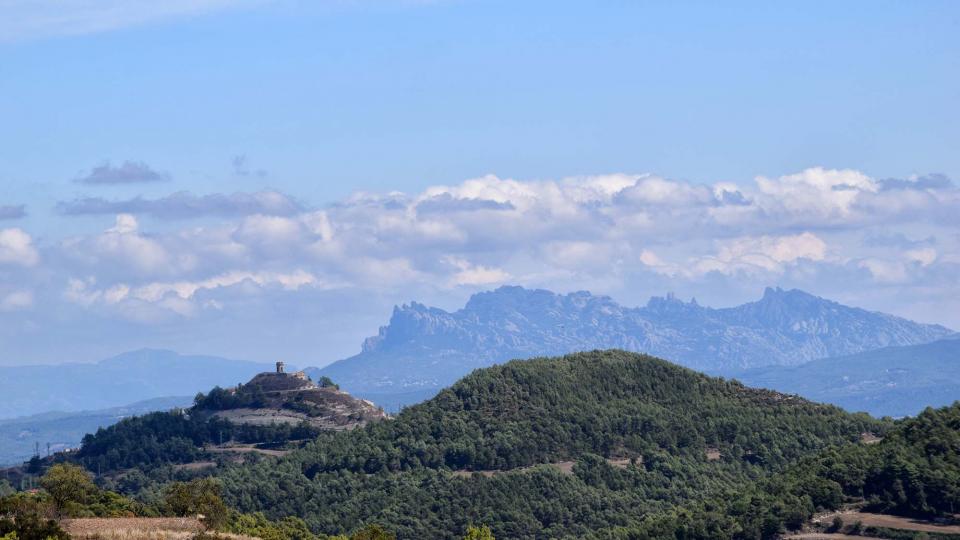 El cicle de caminades 'Xino-Xano' una forma de descobrir els boscos d'Argençola - Argençola