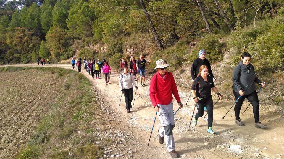 11.11.2018 Curs de Marxa Nòrdica  Argençola -  Rural Salut