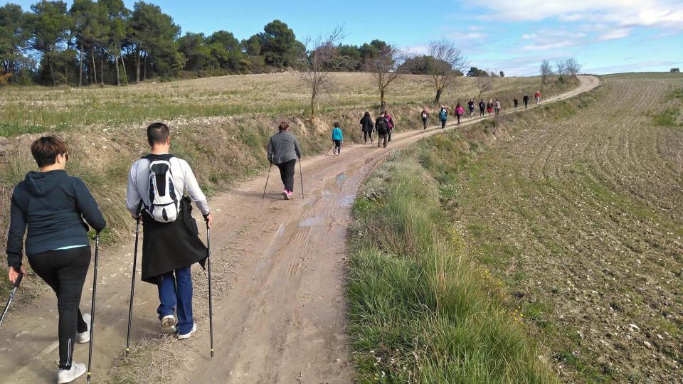 11.11.2018 Curs de Marxa Nòrdica  Argençola -  Rural Salut