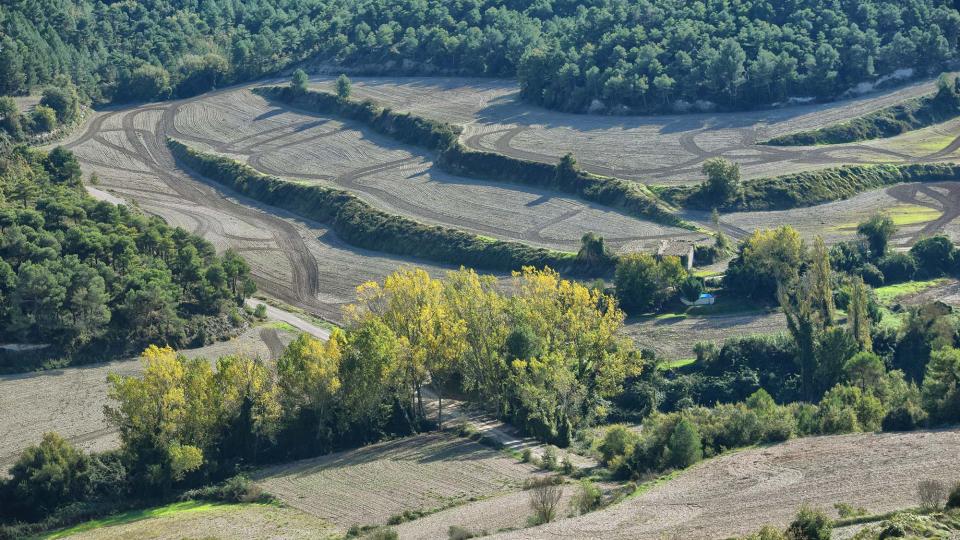 3.11.2018 Torrent de les Vinyes  Argençola -  Ramon  Sunyer