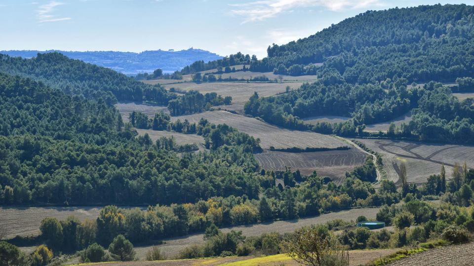 3.11.2018 Torrent de les Vinyes  Argençola -  Ramon  Sunyer