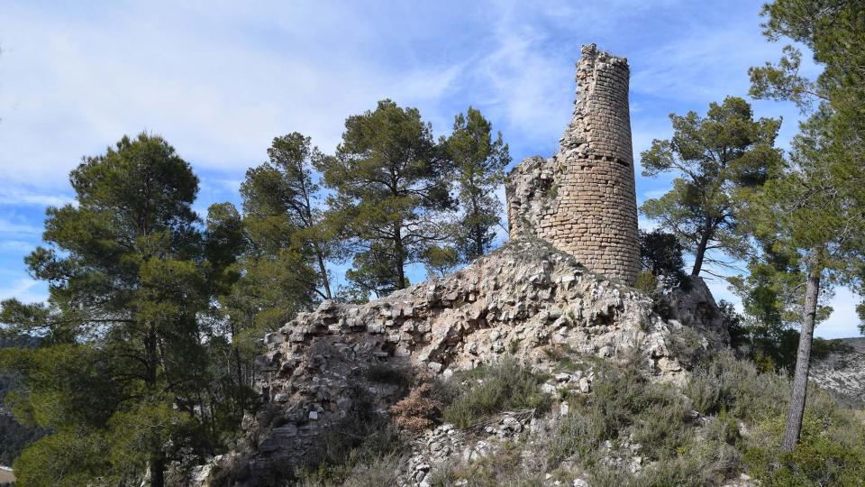 03.03.2019 Castell de Clariana  3 - Autor Ramon  Sunyer