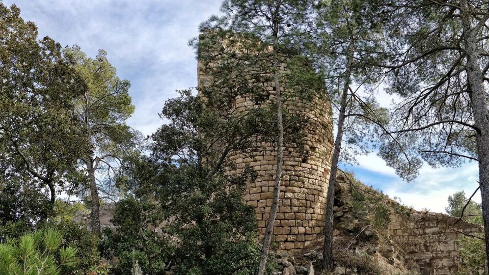 03.03.2019 Castell de Clariana  3 - Autor Ramon  Sunyer