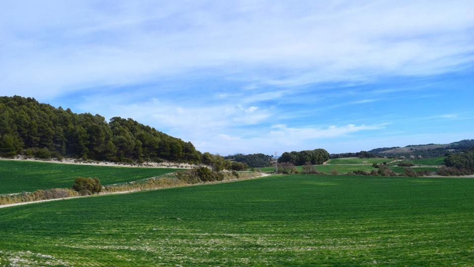 3.3.2019 paisatge  Argençola -  Ramon Sunyer