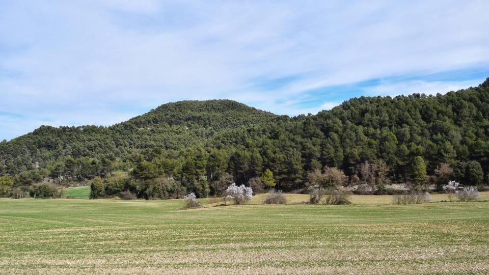 3.3.2019 paisatge  Argençola -  Ramon Sunyer